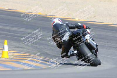 media/Mar-10-2024-SoCal Trackdays (Sun) [[6228d7c590]]/9-Turn 8 Backside (1150am)/